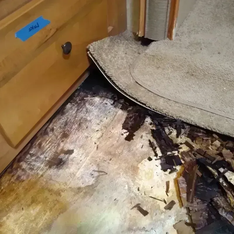 Wood Floor Water Damage in Greer, SC